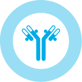 Antibody icon
