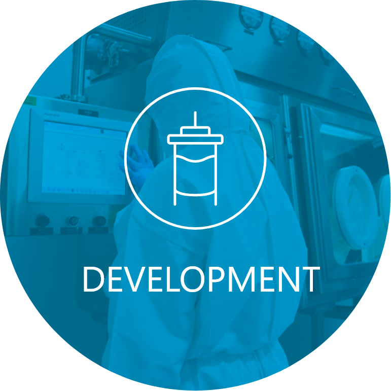 Development