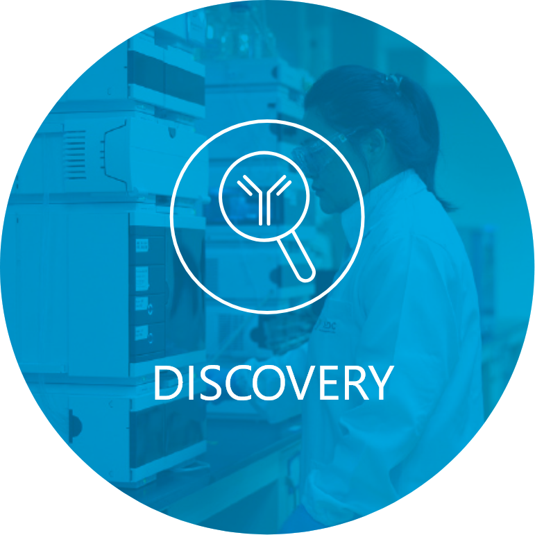 Discovery