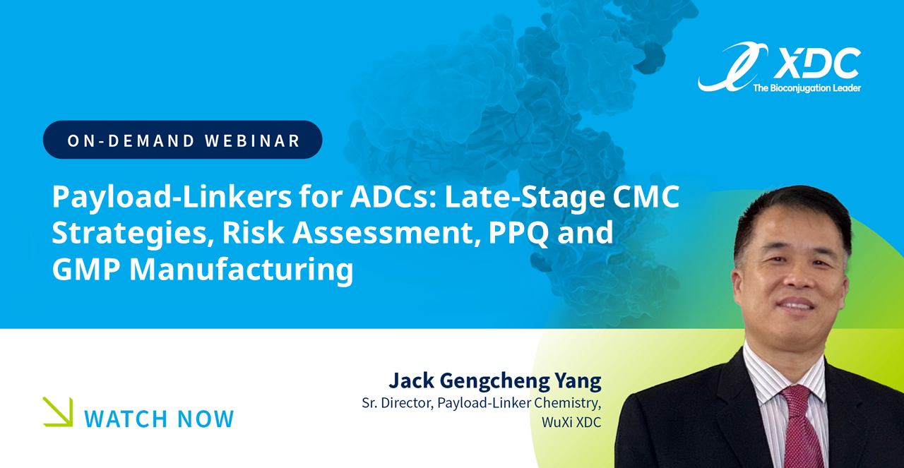 Payload-Linkers for ADCs: Late-Stage CMC Strategies, Risk Assessment, PPQ and GMP Manufacturing