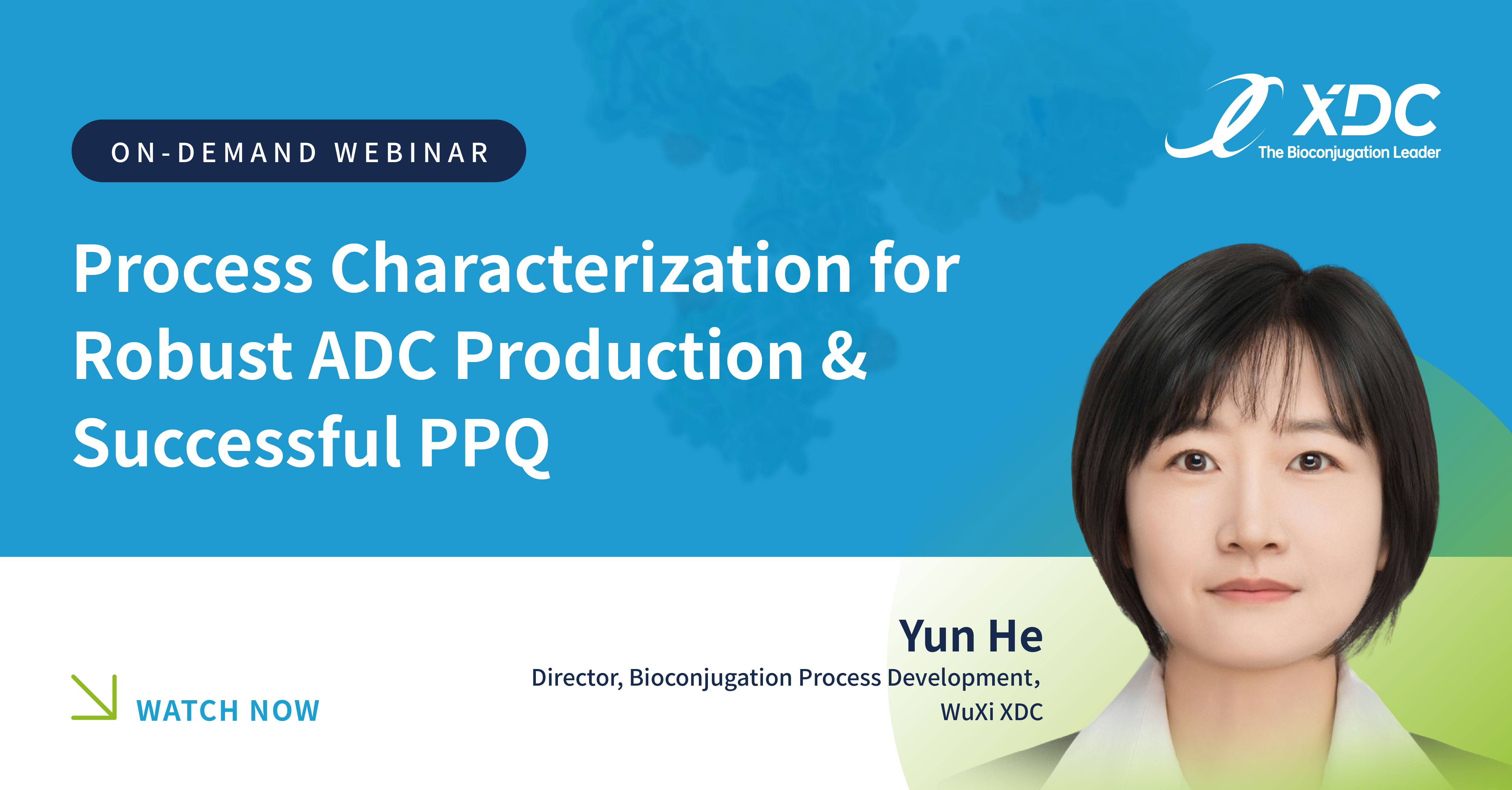 Process Characterization for Robust ADC Production & Successful PPQ